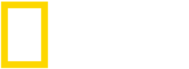 kindpng_3297599
